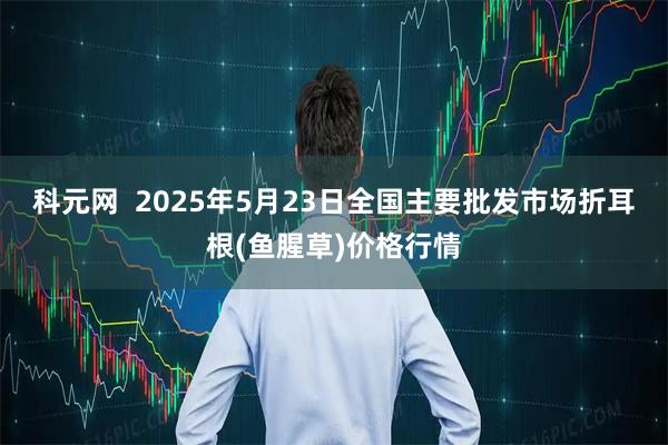 科元网  2025年5月23日全国主要批发市场折耳根(鱼腥草)价格行情