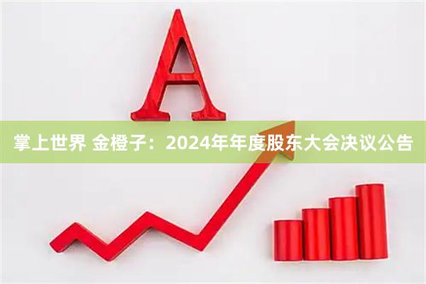 掌上世界 金橙子：2024年年度股东大会决议公告