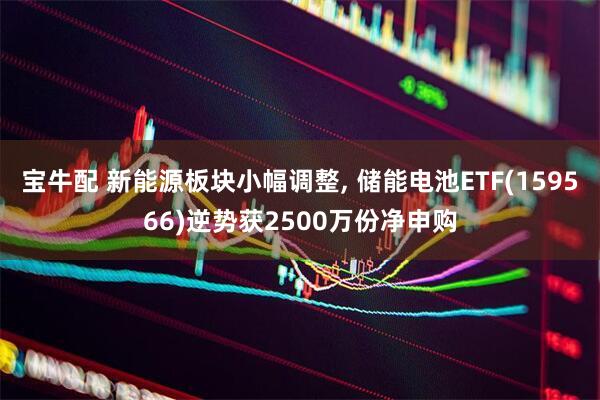 宝牛配 新能源板块小幅调整, 储能电池ETF(159566)逆势获2500万份净申购