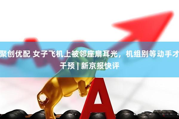 聚创优配 女子飞机上被邻座扇耳光，机组别等动手才干预 | 新京报快评